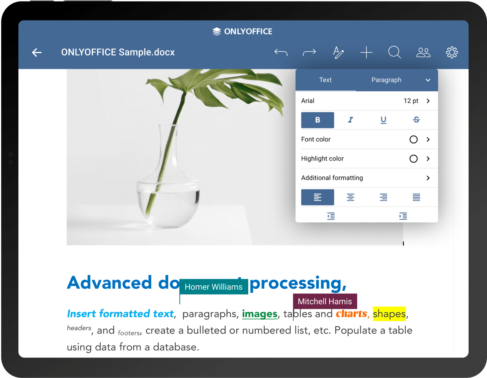 Back to school with ONLYOFFICE: the optimal toolkit for educators and students