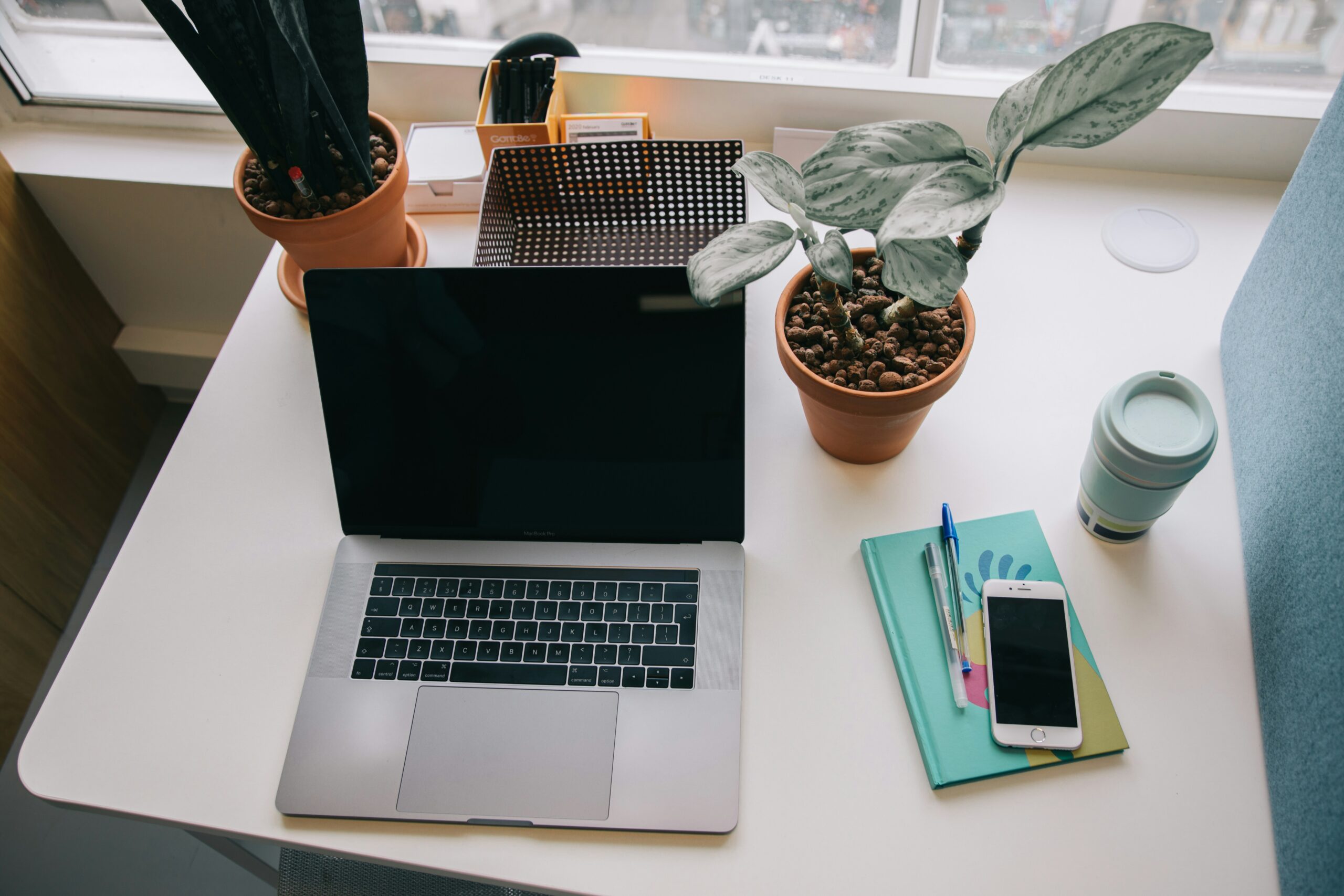 Back to school: kickstart your career with an ONLYOFFICE internship