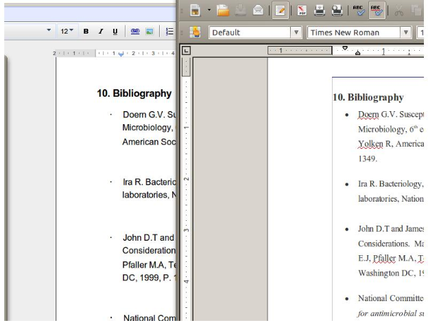 The first document editor: a simple but risky bet